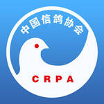 中国信鸽协会