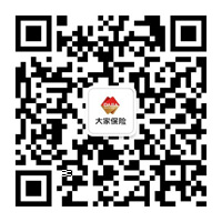 大家保险