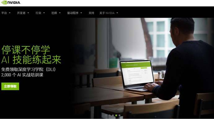 NVIDIA_英伟达：视觉计算技术的行业领袖