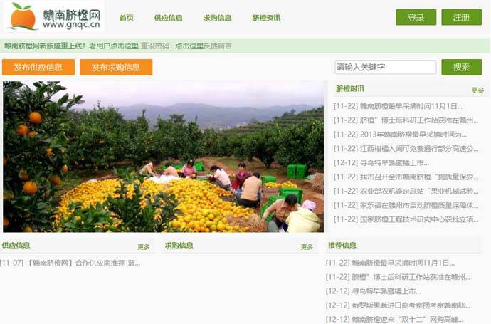 赣南脐橙网：赣南脐橙营销平台